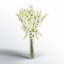 Delphinium Floral Arrangement in Vase