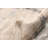 Celeste Ivory Rug-1582621347