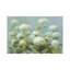 Danhui Nai - Print on Canvas-29383171-101335567