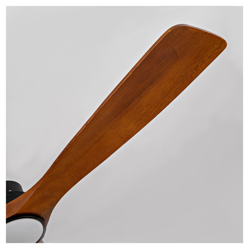 Ventilateur de plafond moderne de 60 pouces avec lumière DEL et télécommande, conception en bois de sycomore massif à 3 pales, noir et noyer foncé