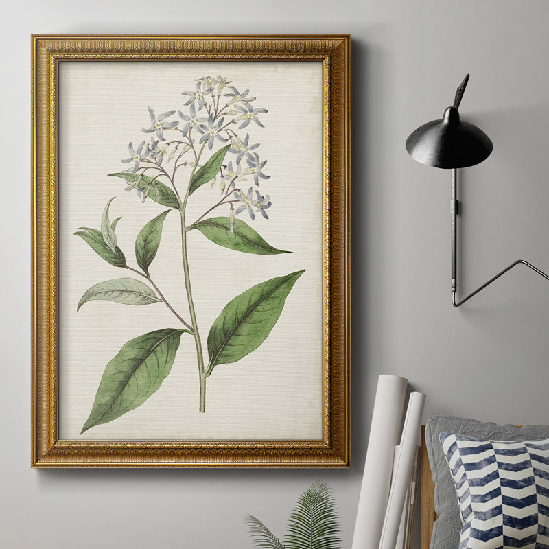 Toile encadrée de qualité supérieure Antique Botanical Collection, H 27 po x l 18 po x P 2,5 po