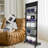 5-Layer  Metal Free Standing Magazine Rack