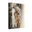 «Animals Horse Face», reproduction d'art sur toile-1606175077