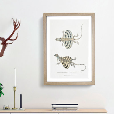 Dragon Lizard by John Edward Gray - Framed Print