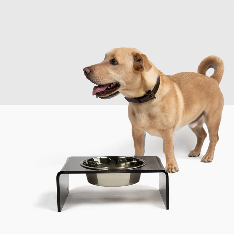 Single Bowl Elevated Feeder with Bowl, Smoke Grey, Silver