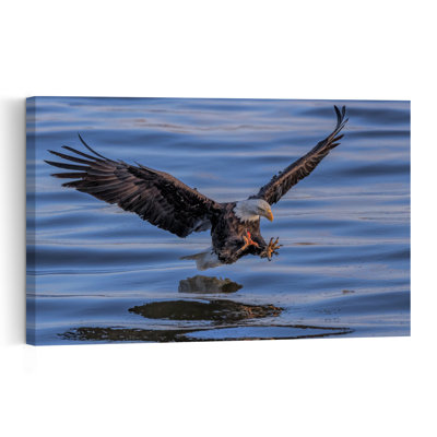 Bald Eagle Water Landing Contemporary Bird Eagle Nature Wildlife Wall Art Print 1 Piece Wrapped Canvas Wall Art