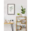 Seaglass Eucalyptus I by Marmont Hill - Single Picture Frame Painting-674380363