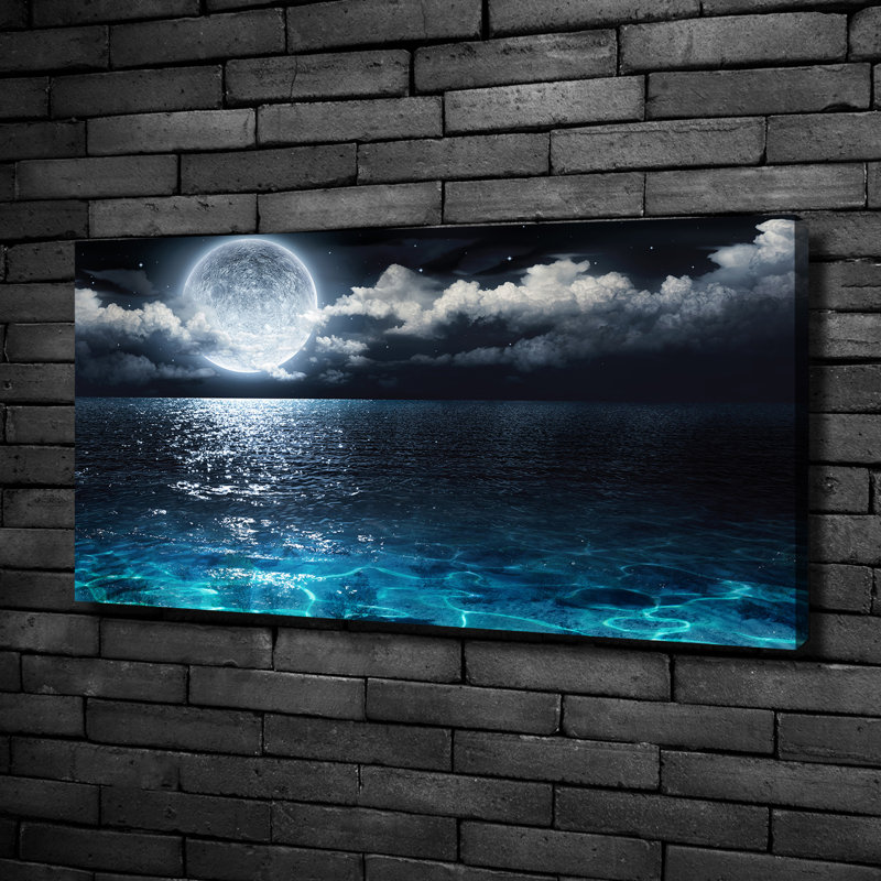 Full Moon - Wrapped Canvas Print, 50cm H x 100cm W