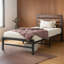 Lit Akitomo-21617973-65581051