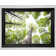 Up The Tree To The Skies - Single Picture Frame Print