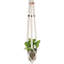 Pot suspendu suspendu en macramé de style Dakota Fields