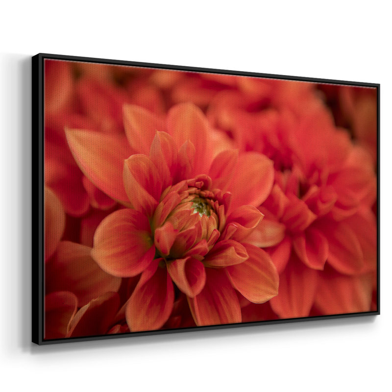 Printemps, impression sur toile tendue, Cadre noir, H 25 po x l 17 po x P 2 po
