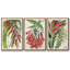 Tropical Gems I - ensemble de 3 reproductions sur toile-97945751-97945755