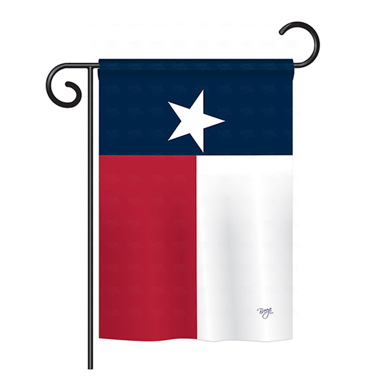 Drapeau de maison en polyester à 2 côtés US State, H 40 po x l 28 po, Texas