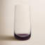 Verre à boire JoyJolt Black Swan Doulbe-41099276