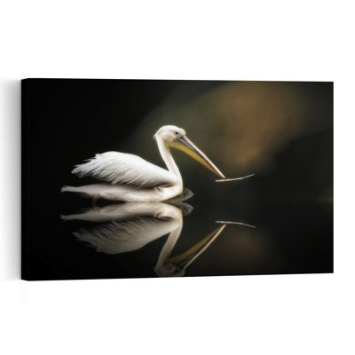 Graceful Pelican Reflection Elegant Minimalist Peaceful Bird Pelican Nature Wildlife Wall Art Print 1 Piece Wrapped Canvas Wall Art