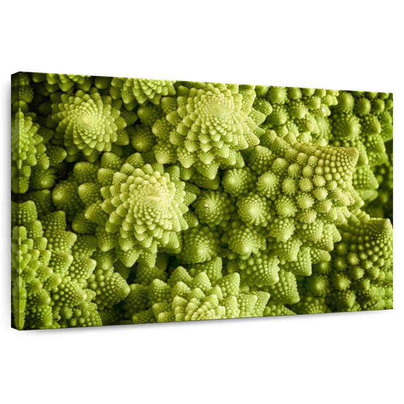Fresh Romanesco Broccoli, 34" H x 51" W