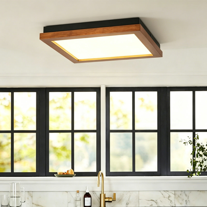 LED Light Flush Mount Ceiling Light