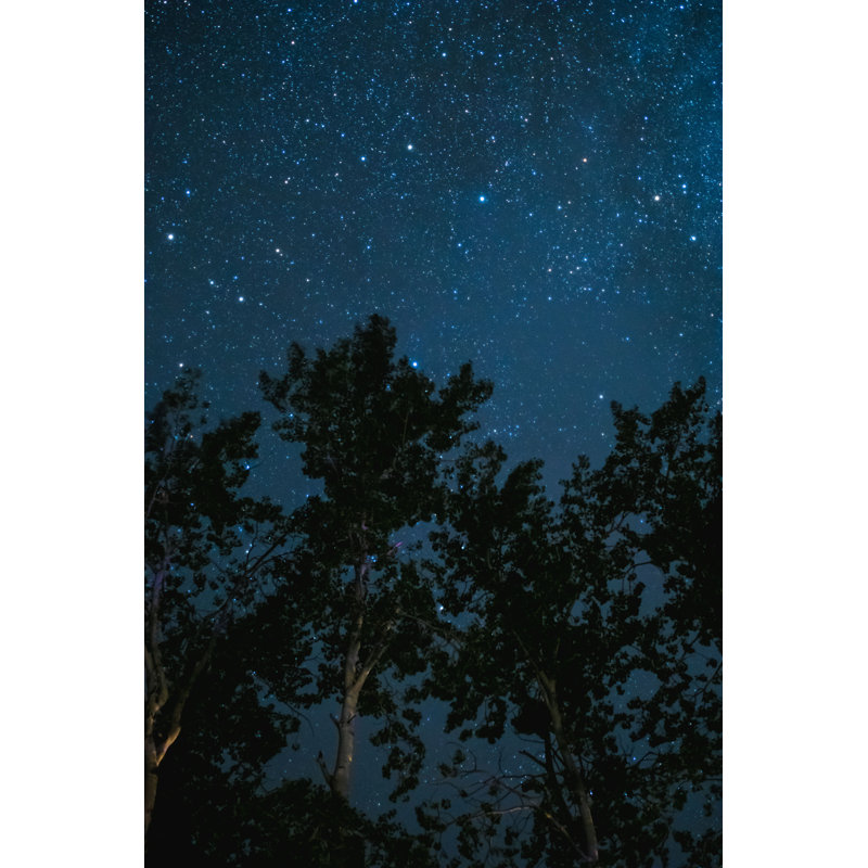 Night Night with Stars par - Photographie de toile tendue, L 8 po x H 12 po