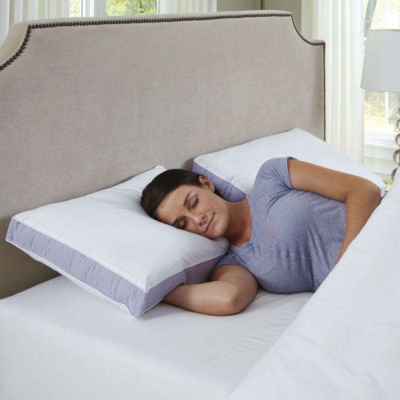 Extra Firm Density Pillow, Queen