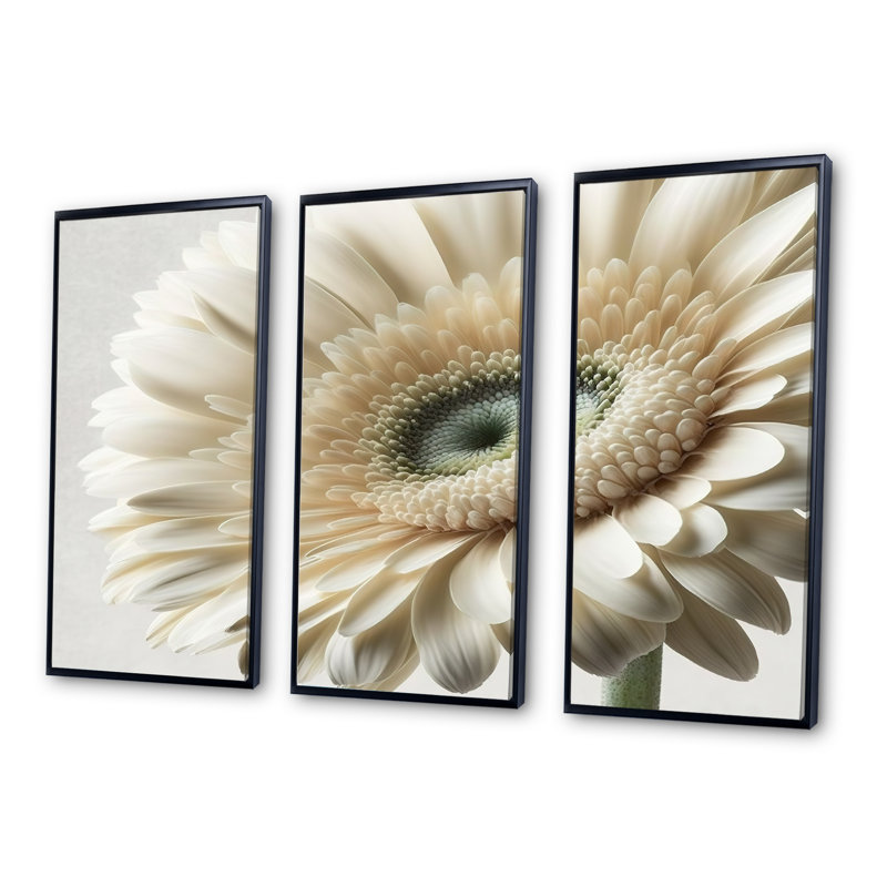 Gerbera blanc III - imprimé 3 pièces, Cadre noir, H 28 po x l 36 po x P 1 po