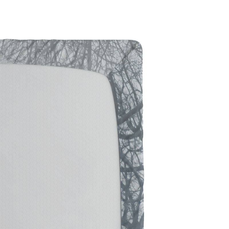 Ensemble de 2 draps-housse Ambesonne Landscape Idyllic Forest Rain View, Drap-housse de taille simple