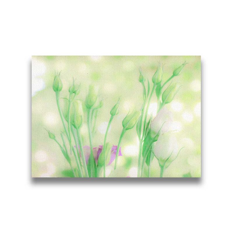 Soft Summer Focus par Hal Halli. Impression sur papier - Montée et encadrée, H 34 po x l 44 po