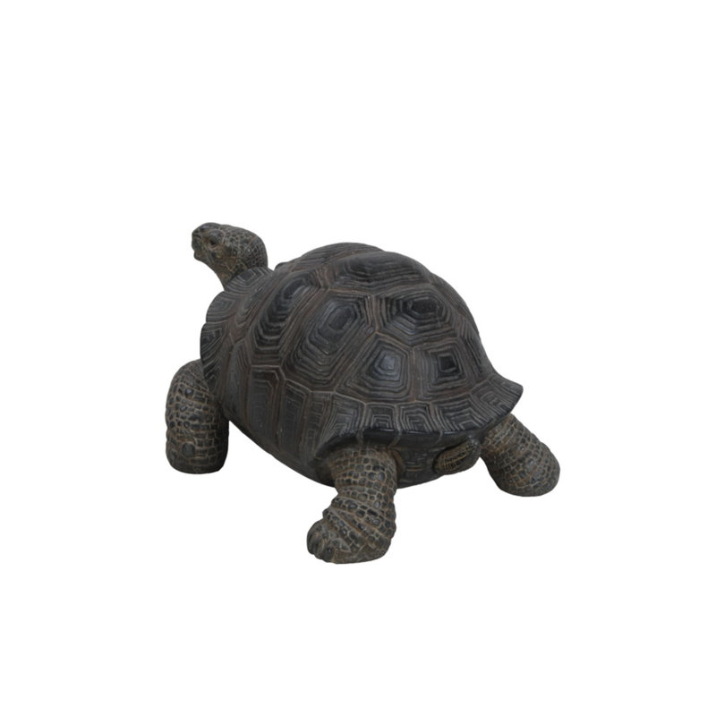 Realistic Grey-Brown Tortoise Garden Statue, 7 Inches