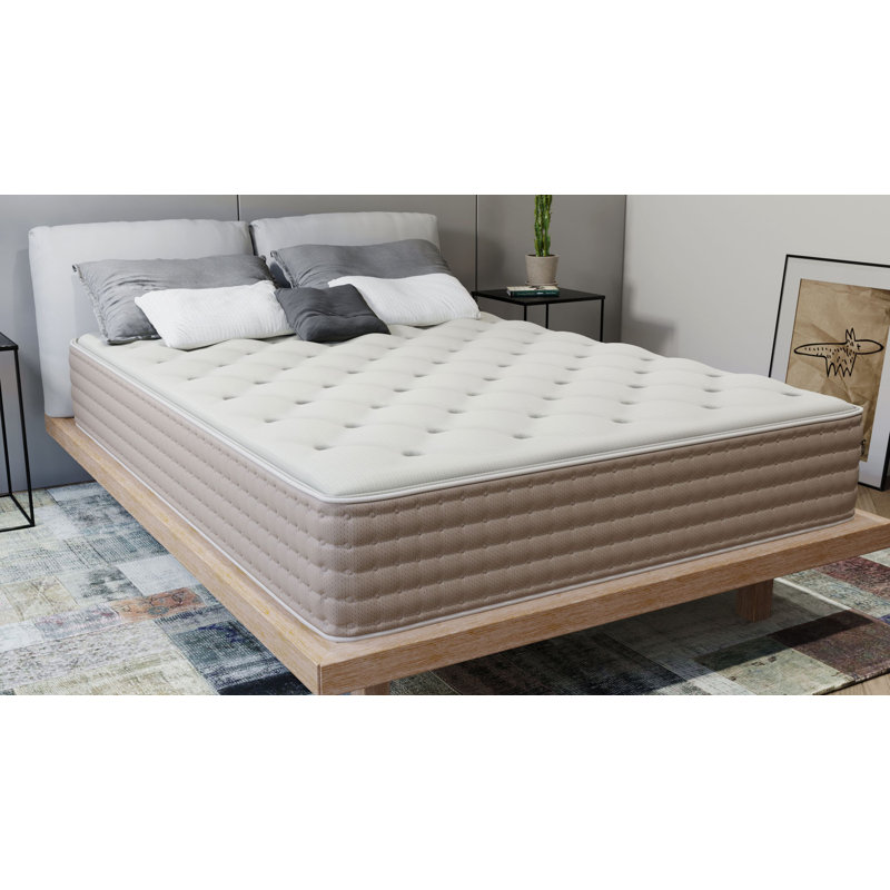 Jackeline 11" Medium Hybrid Latex Mattress, Queen