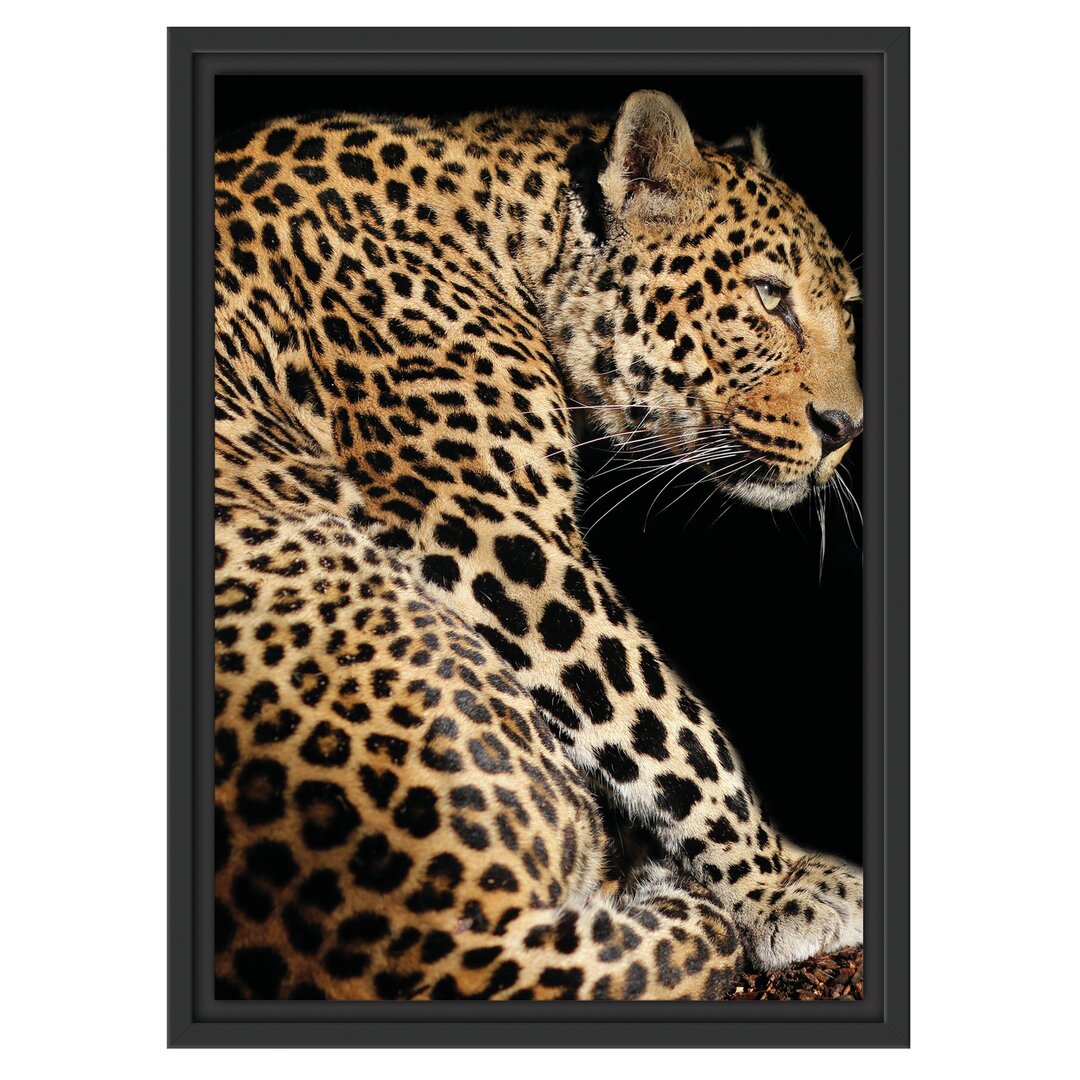 Gerahmtes Wandbild Anmutiger Leopard