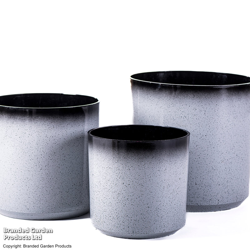 Pot Planter