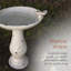 Ceramic / Porcelain Pedestal Birdbath-4462997