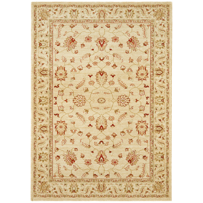 Aguilar Oriental Area Rug, Rectangle 200 x 300cm