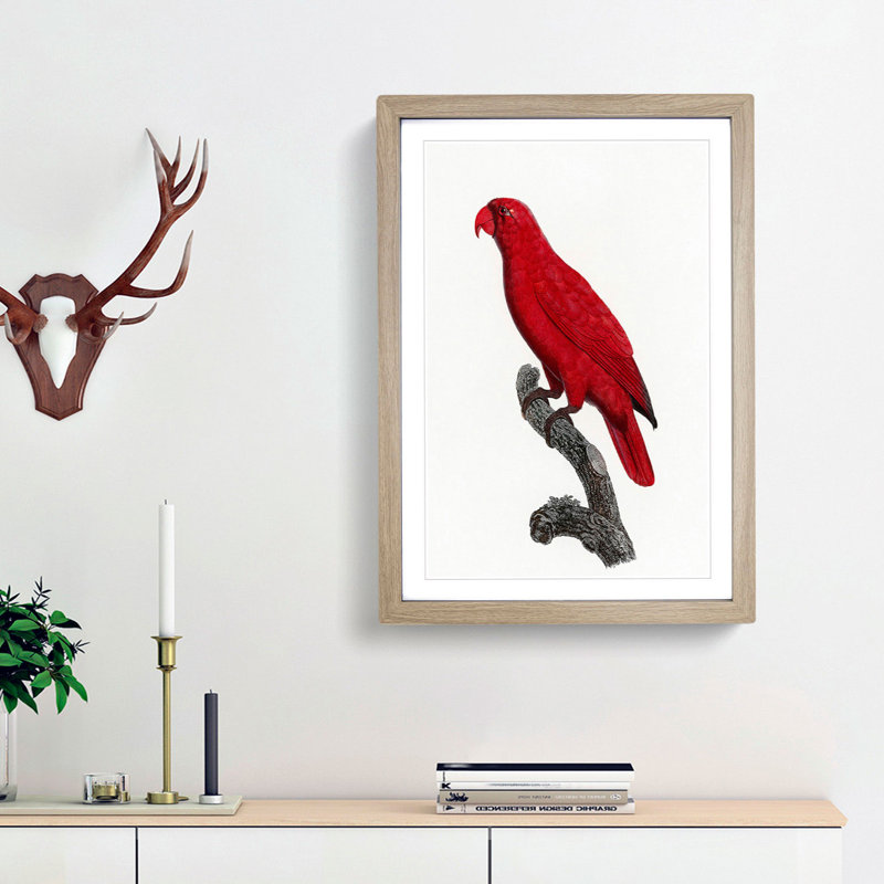 Cardinal Lory by F. Levaillant - Picture Frame Painting Print, Oak Framed, 36cm H x 27cm W x 2cm D