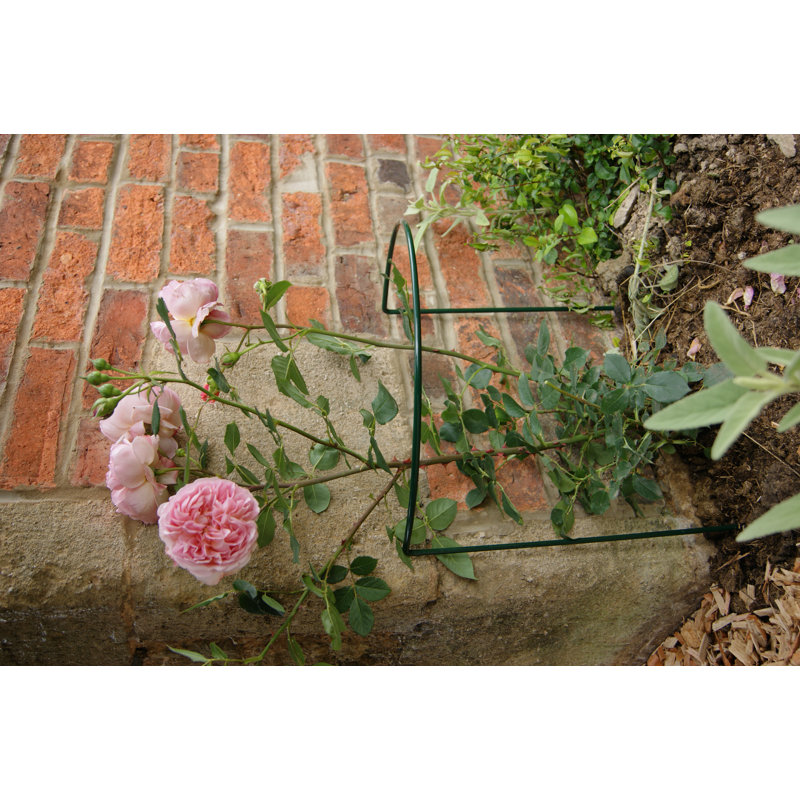 Babken Metal Plant Support, Green, 50.8cm H x 38cm W x 25.4cm D