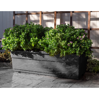 Dulcimer SelfWatering Plastic Elevated Planter
