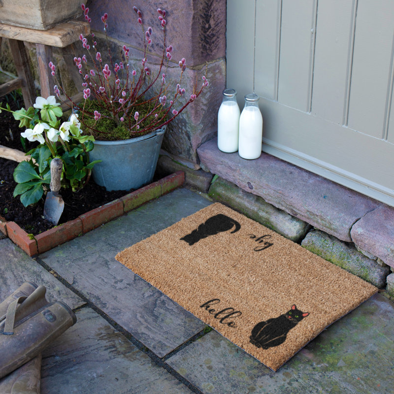 Non-Slip Indoor Doormat