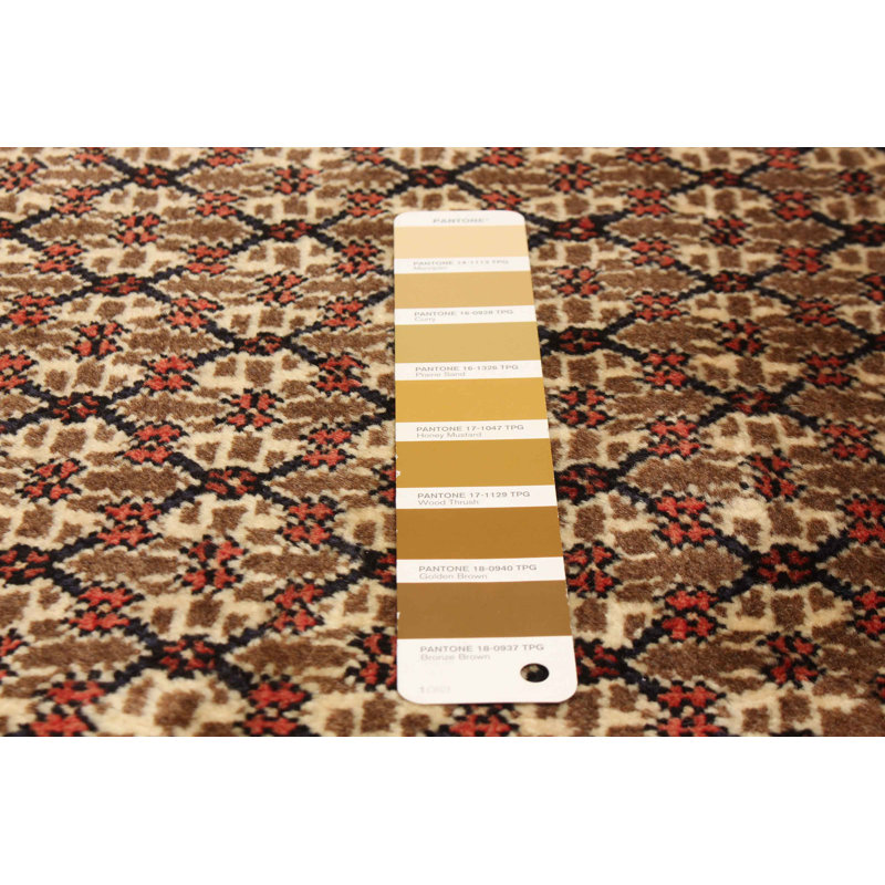 Tapis brun Anatolian Vintage 5 pi 1 po x 8 pi 0 po