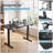 Modern Electric Adjustable Height Standing Desk with Built-In Accessories for Office Computer Desk-129424042