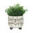 Ceramic Scribble Footed Planters, Beige - Eco-Friendly and Stylish for Indoor Plants
