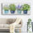 " Fresh Herb Collection "-1218966658