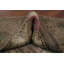 Tapis de couloir brun teint à la main Oushak 3 x 16