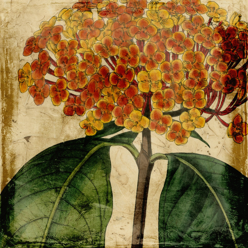 Vibrant Floral I by Vision Studio - Wrapped Canvas Print, 76cm H x 76cm W