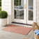 Deycy Performance Chevron Indoor/Outdoor Area Rug