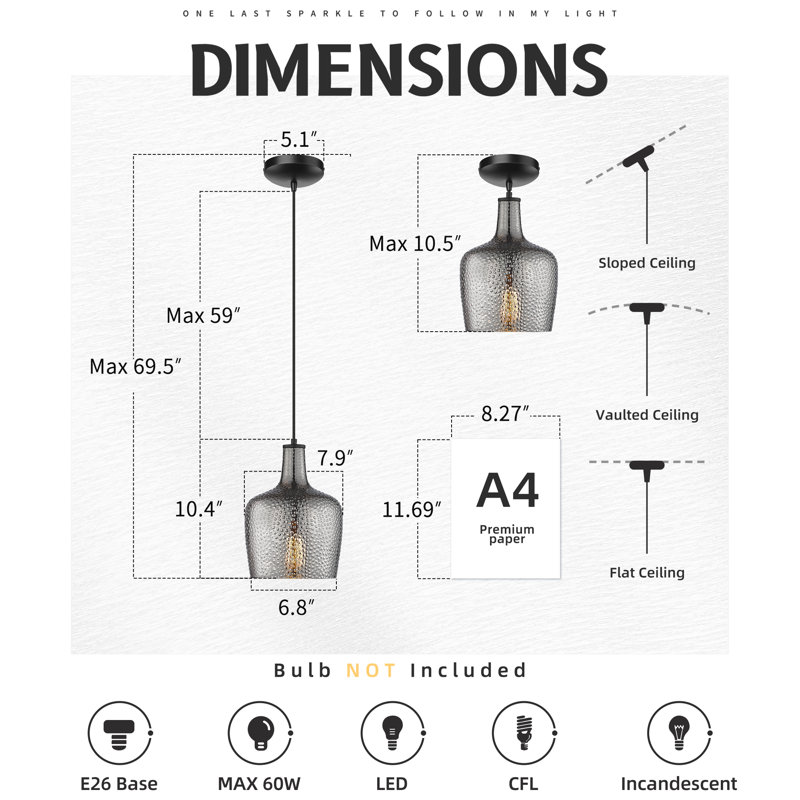 Luminaire suspendu simple à 1 lumière Weisend, Noir mat