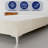 Marcijona 15" Premium Velvet Material Wood Box Spring/Bed Frame, Durable, Stylish, Multi Color-88932905-88932898