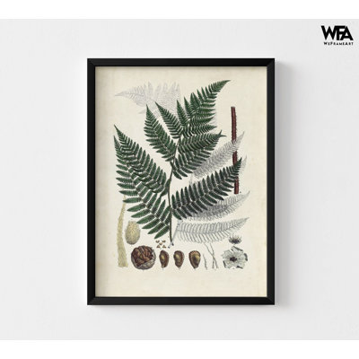 Fern Leaves Print, Botanical Wall Decor, Leaves Wall Art, Framed Botanical Print, Fern Wall Art Prints, Framed Wall Art, Oversized Wall Art