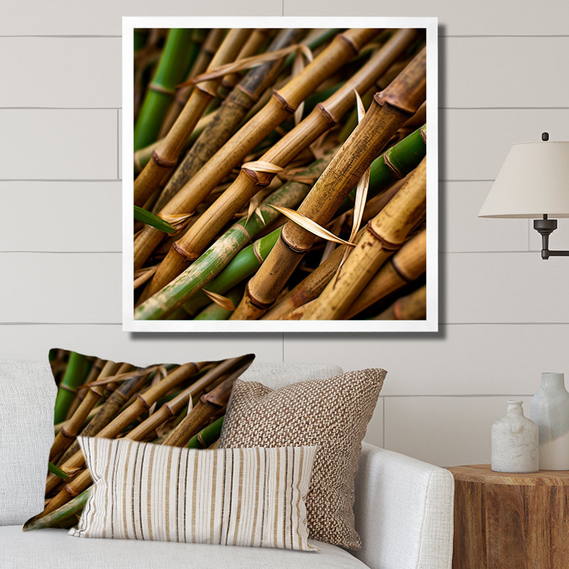 Bamboo Field Close Up I - Impression sur toile de bambou_106660, H 36 po x l 36 po x P 1,5 po, Cadre photo blanc