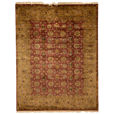 Hand Knotted Oriental Area Rug in Red And Gold