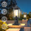Elisia Transparent Lantern Head